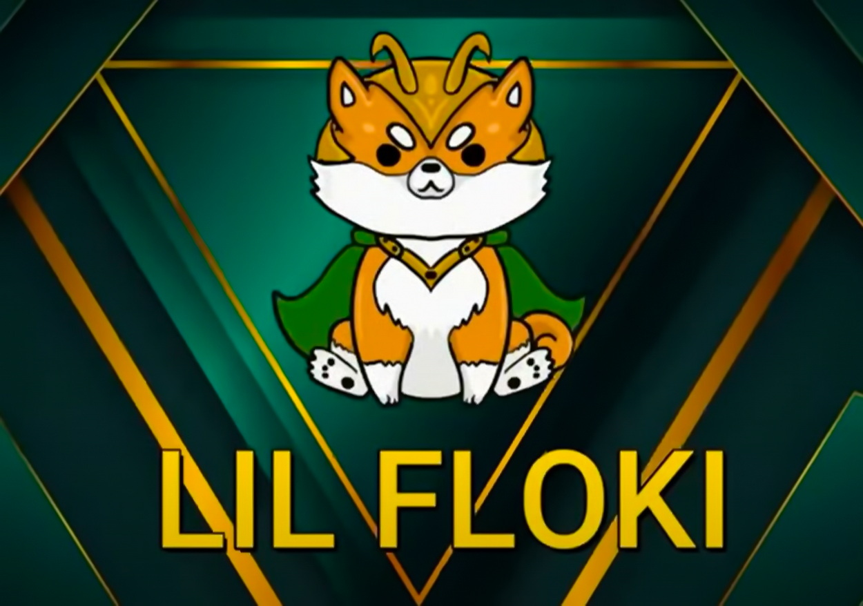 How To Buy Lil Floki (LILFLOKI), What Is Lil Floki