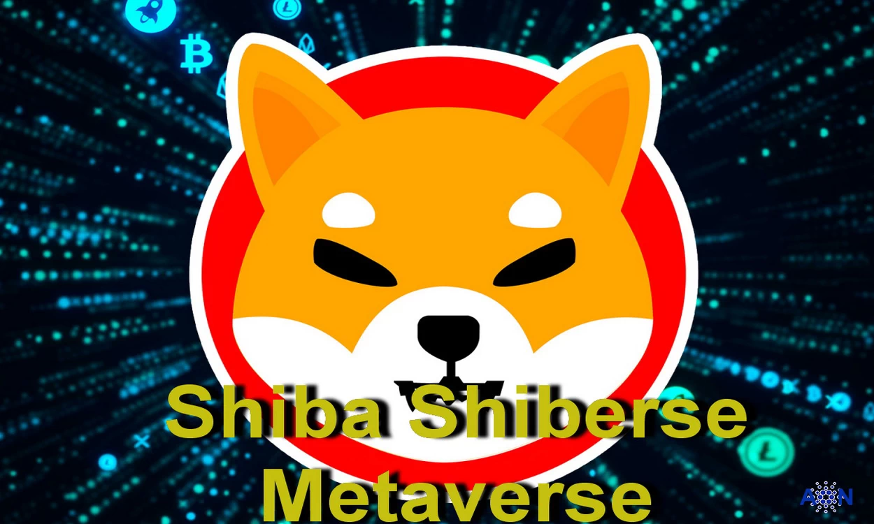 Shiba Inu expands Metaverse investment “Shiberse”