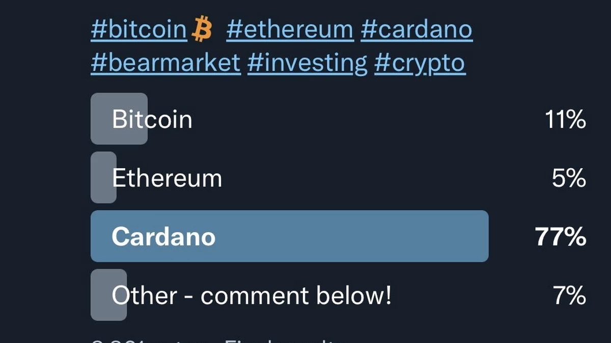 Cardano ADA, Most Adopted Crypto in Bear Market, According to Survey