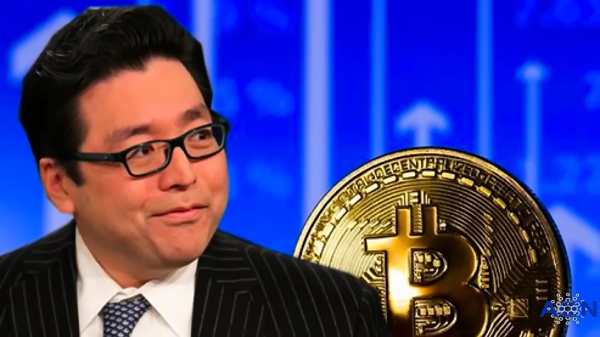 Thomas Lee Reminded the Bitcoin Rise Forecast Again