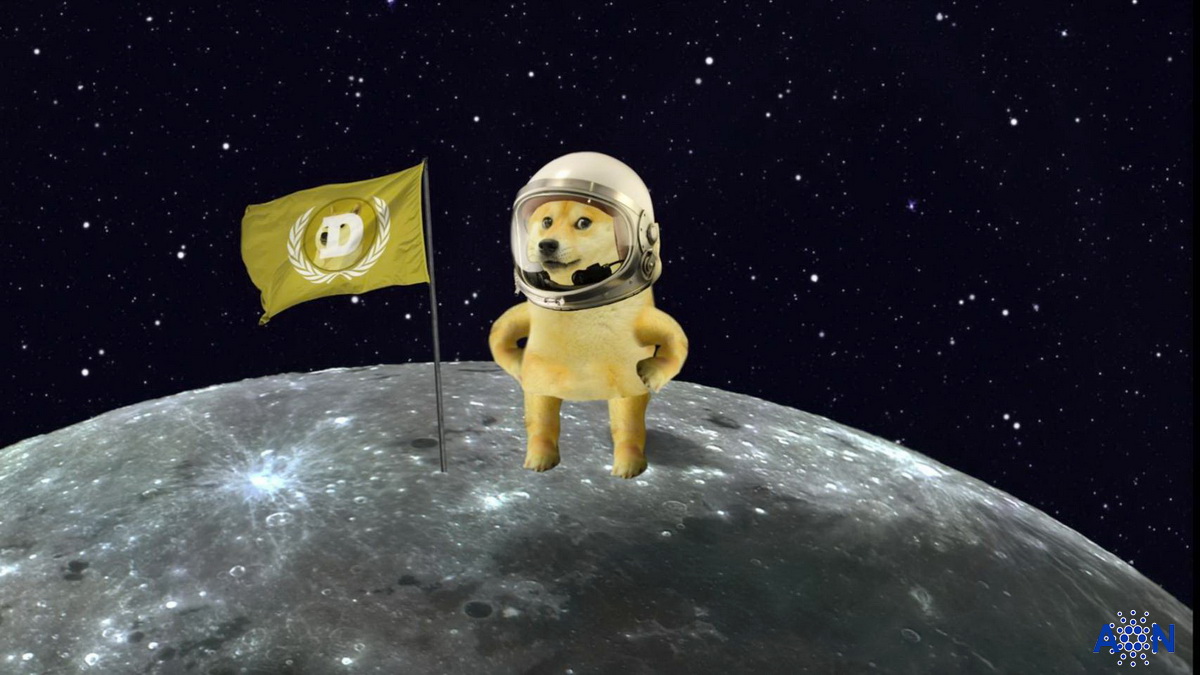 Dogecoin rose 25% in 7 days. DOGE rise will continue