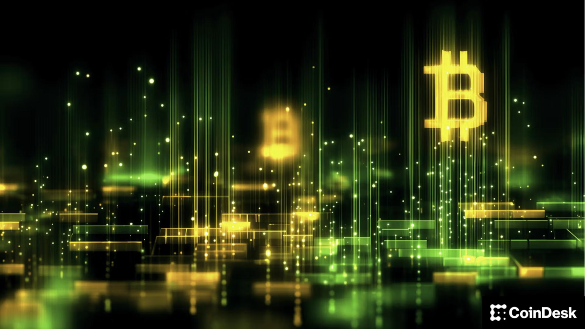 Analysts Split On Crypto's 2025 Outlook