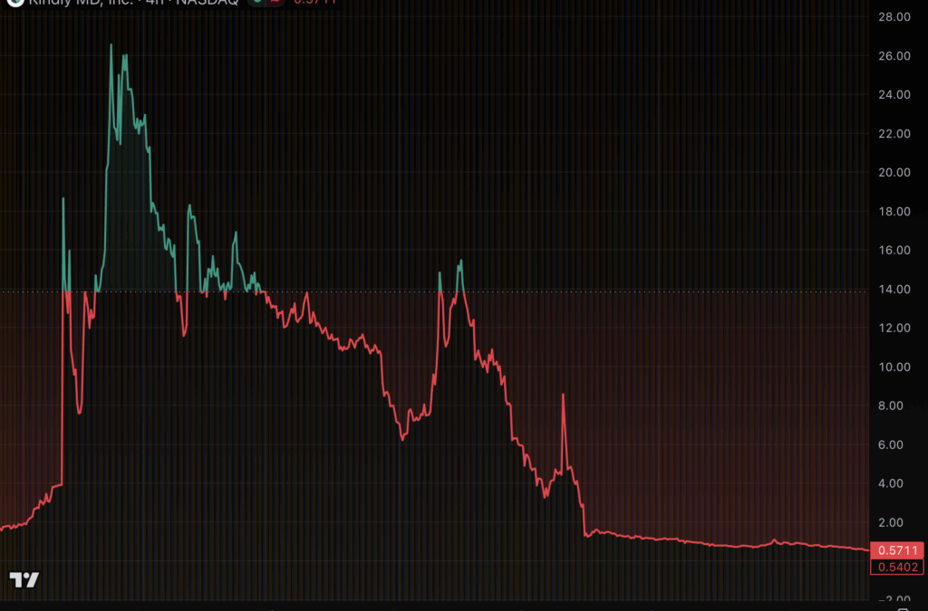 Nakamoto Treasury Plummets 98%, Still Pays Bailey Lavishly